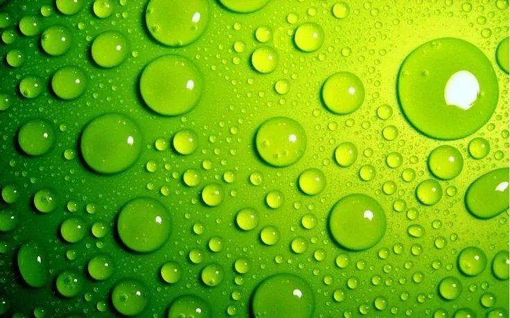 100+ ảnh nền xanh lá tuyển tập chuẩn thiết kế · ảnh 3