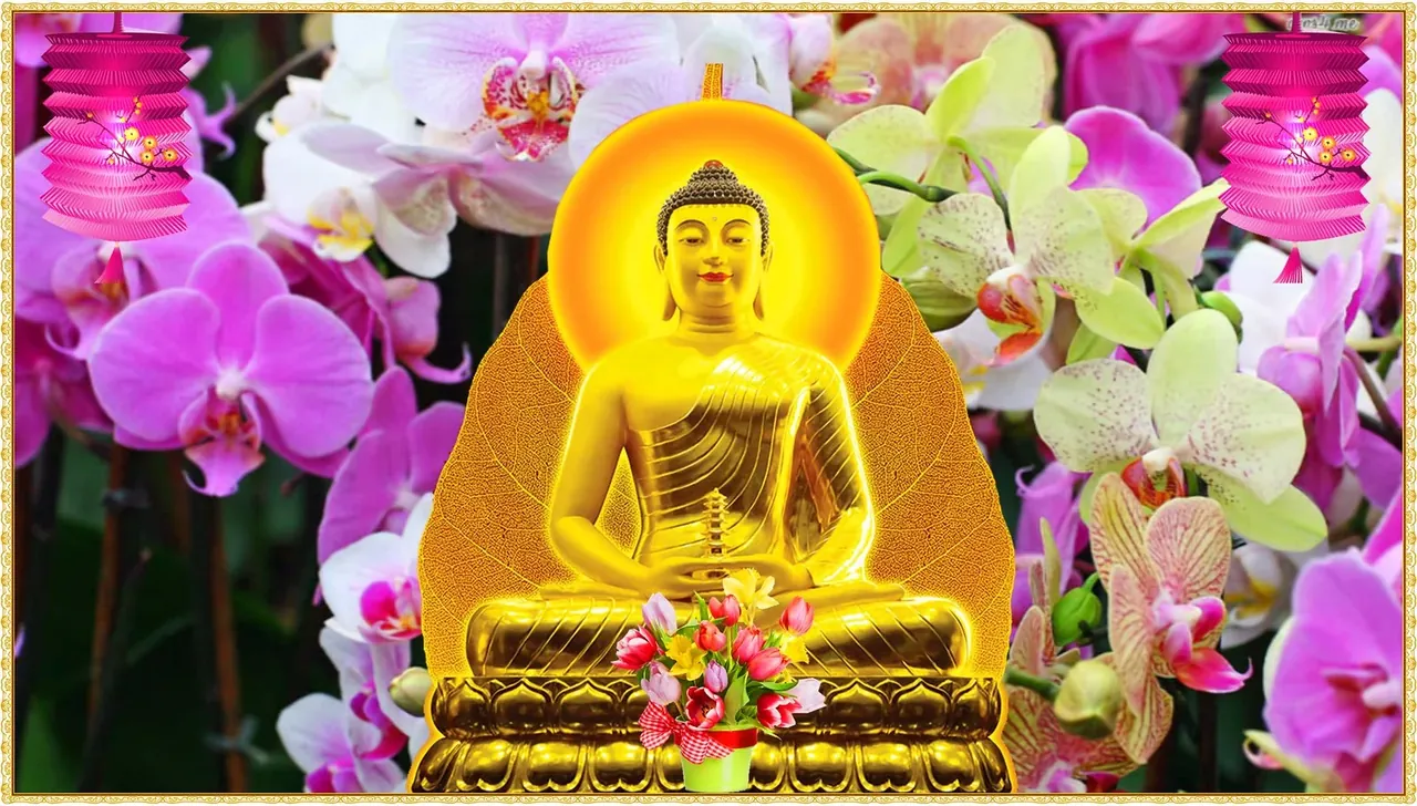 100+ ảnh phật đẹp an nhiên, thanh tịnh · ảnh 2
