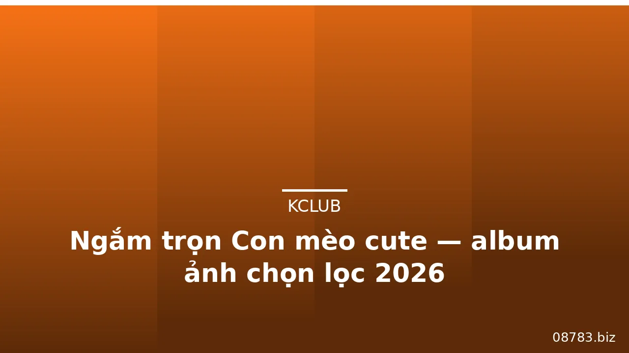 Ngắm trọn Con mèo cute — album ảnh chọn lọc 2026 · ảnh 2