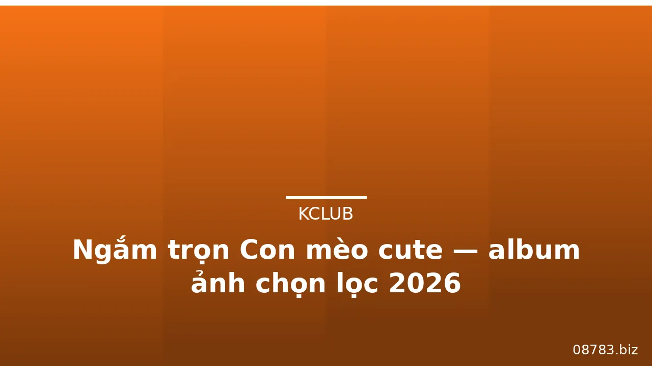 Ngắm trọn Con mèo cute — album ảnh chọn lọc 2026 · ảnh 3