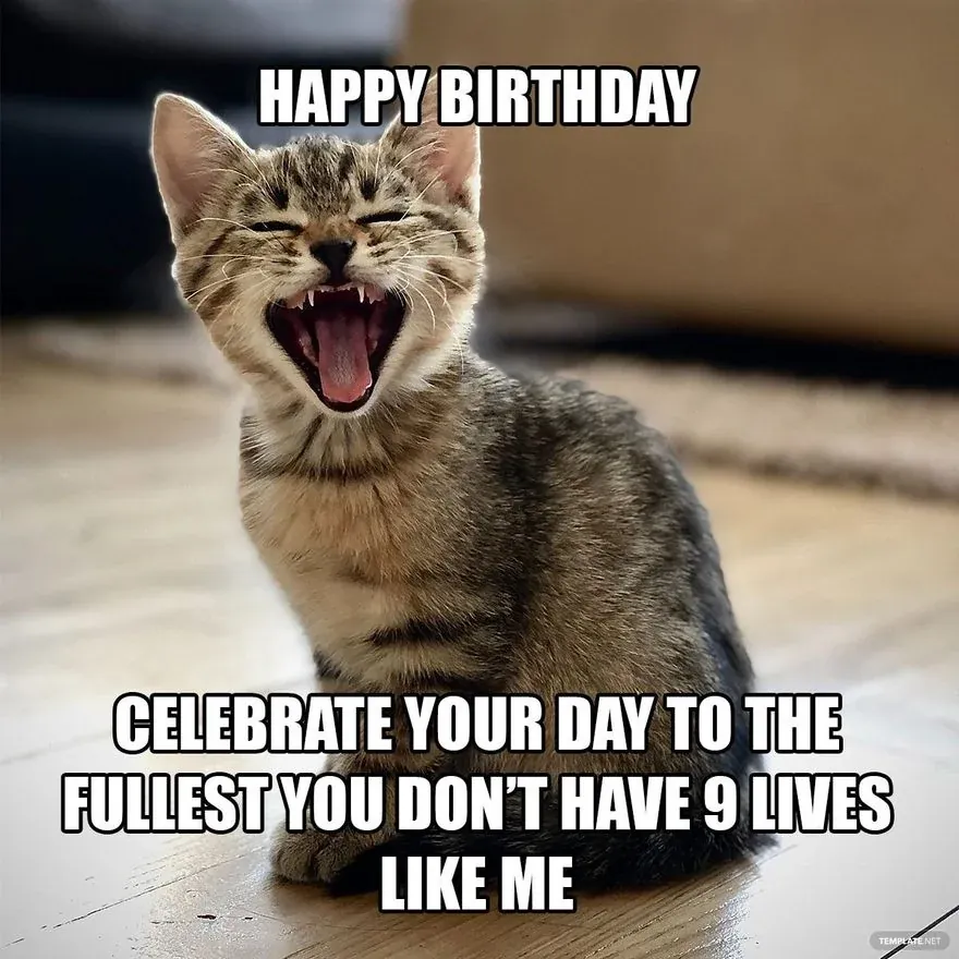 Ngắm trọn Meme happy birthday — album ảnh chọn lọc 2026
