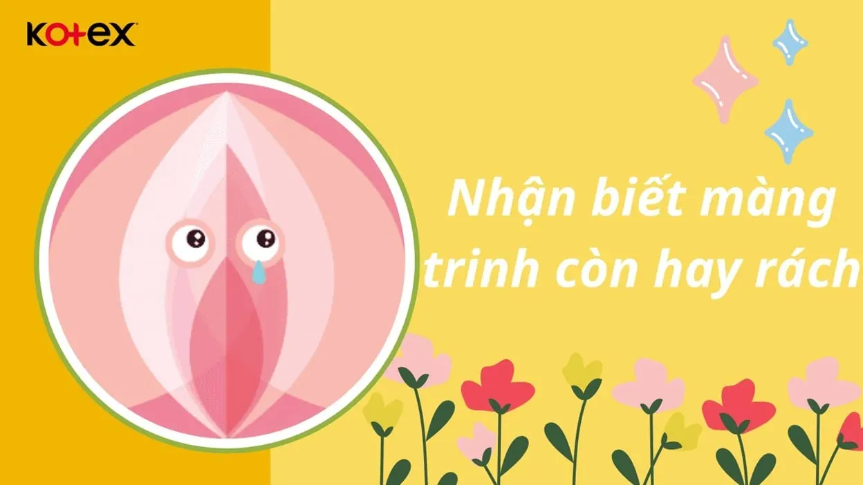 Nhận biết màng trinh còn hay rách: 100+ ảnh tham khảo chi tiết nhất