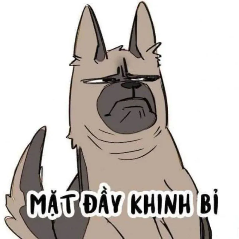 Tuyển tập 100+ meme khinh bỉ mèo chất nhất · ảnh 1