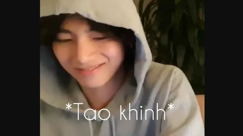 Tuyển tập 100+ meme khinh bỉ mèo chất nhất · ảnh 2