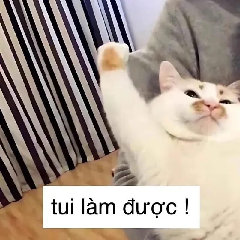 Tuyển tập Ảnh meme hài bựa — 50+ ảnh chọn lọc 2026 · ảnh 1